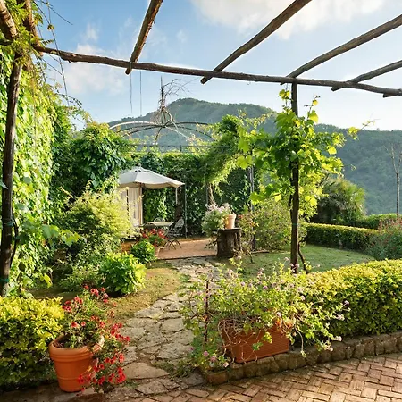Farm stay Borgo Piccaratico Vinci