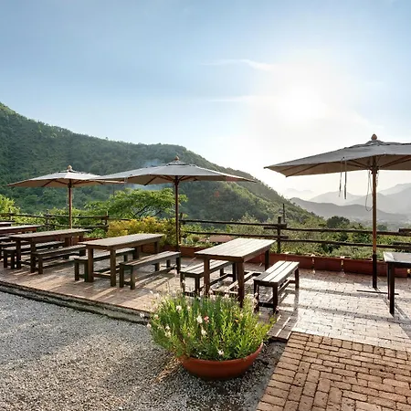Farm stay Borgo Piccaratico Vinci